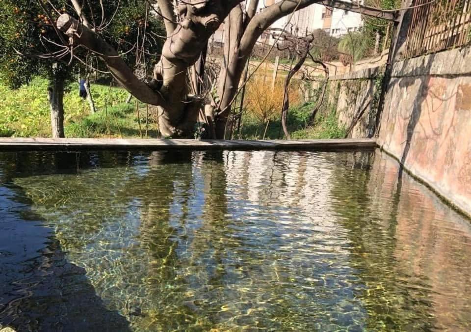아마란테 Quinta Da Chentuada 빌라 외부 사진